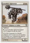 Product image for Loxodon vigoureux