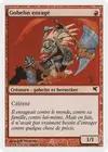 Product image for Gobelin enragé
