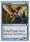Product image for Hibou savant