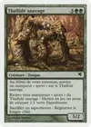 Product image for Thallidé sauvage