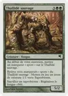Product image for Thallidé sauvage