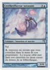 Product image for Cérébreffaceur soratami