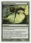 Product image for Bourgeonnement