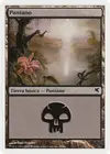Product image for Swamp