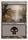 Product image for Swamp