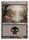 Product image for Swamp