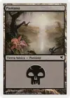 Product image for Swamp