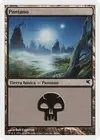 Product image for Swamp