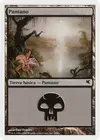 Product image for Swamp