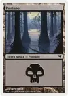 Product image for Swamp