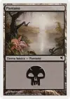 Product image for Swamp