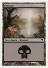 Product image for Swamp