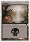 Product image for Swamp