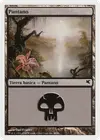 Product image for Swamp