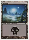 Product image for Swamp
