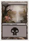 Product image for Swamp