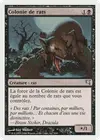 Product image for Colonie de rats