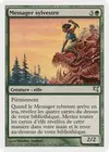 Product image for Messager sylvestre