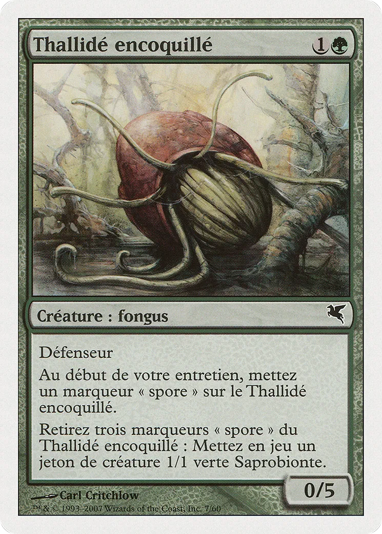 Thallidé encoquillé — Salvat 2005 — Magic: The Gathering