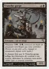 Product image for Tranche-gorge