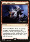 Product image for Burn from Within