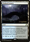 Product image for Choked Estuary