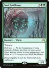 Product image for Soul Swallower