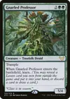 Product image for Gnarled Professor
