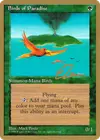 Product image for Birds of Paradise