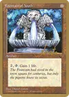 Product image for Fountain of Youth