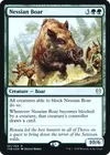 Product image for Nessian Boar