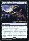 Product image for Treacherous Blessing