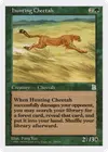 Product image for Hunting Cheetah