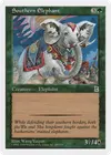 Product image for Southern Elephant