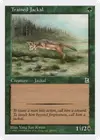 Product image for Trained Jackal
