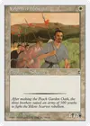 Product image for Volunteer Militia