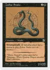 Product image for Zodiac Snake