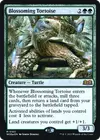 Product image for Blossoming Tortoise