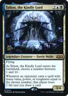 Product image for Talion, the Kindly Lord