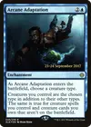 Product image for Arcane Adaptation