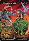Product image for Rhythm of the Wild