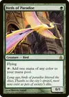 Product image for Birds of Paradise