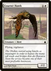 Product image for Courier Hawk