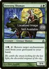 Product image for Shamane sourcier