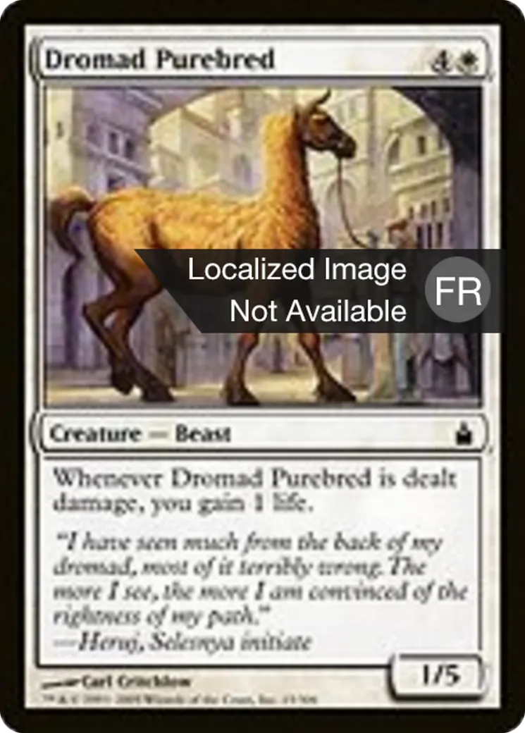 Dromade de race — Ravnica: City of Guilds — Magic: The Gathering