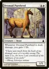 Product image for Dromad Purebred
