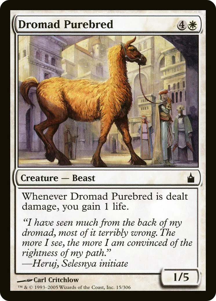 Dromad Purebred — Ravnica: City of Guilds — Magic: The Gathering
