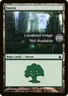 Product image for Forêt