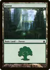 Product image for Forest