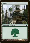 Product image for Forest